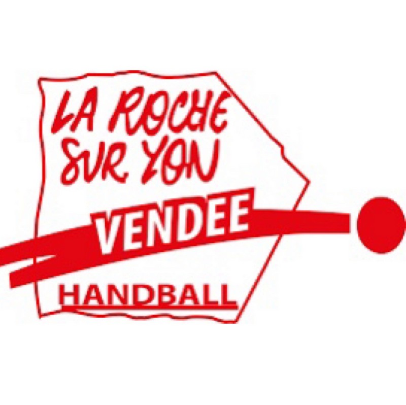 LRSY VENDEE HANDBALL